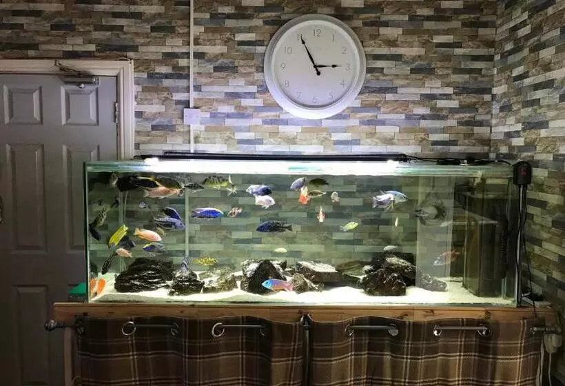 تختخواب و صبحانه The Craigside