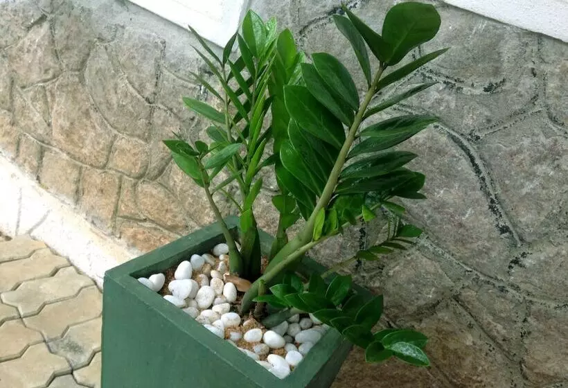 Hotel Kandy Moon Hills