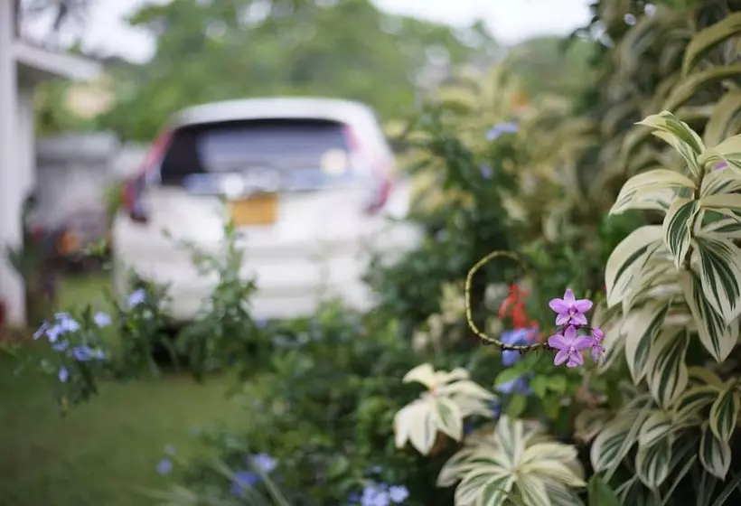 Hotel Kandy Moon Hills