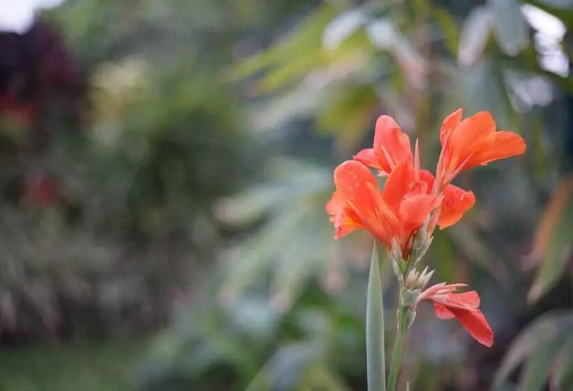 Hotel Kandy Moon Hills