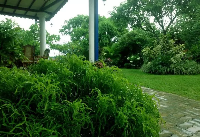 Hotel Kandy Moon Hills