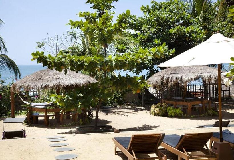 בית מלון כפרי Bay Vista