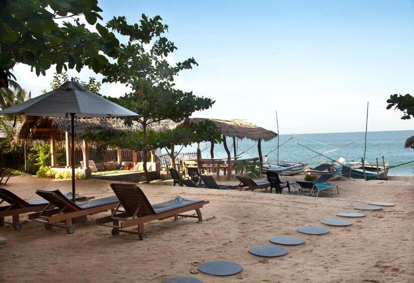 בית מלון כפרי Bay Vista