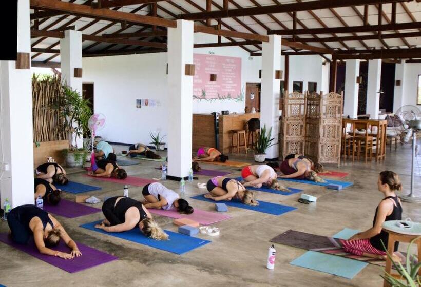 בית מלון כפרי Bay Vista