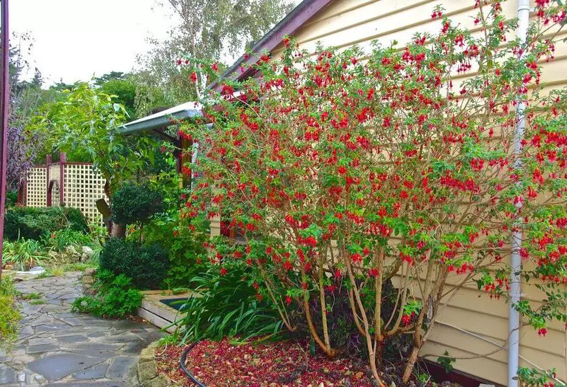 酒店 Codrington Settlement & Gardens