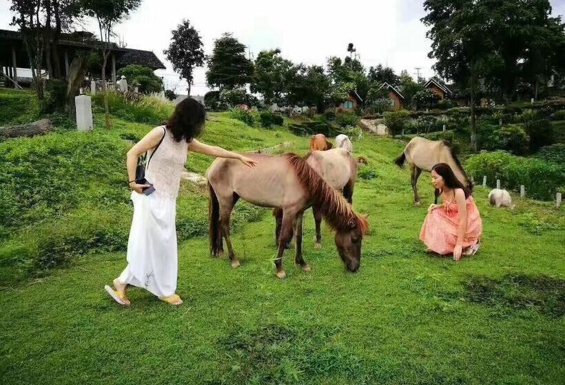 Hotel Eoutfitting Pai Resort