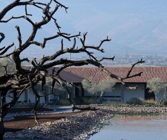 בית מלון כפרי Hacienda Los Picachos Spa & Pádel