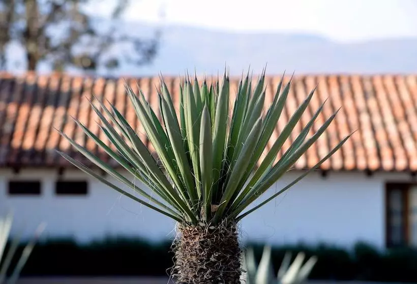 בית מלון כפרי Hacienda Los Picachos Spa & Pádel