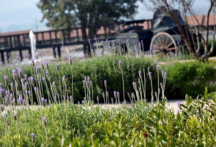 בית מלון כפרי Hacienda Los Picachos Spa & Pádel