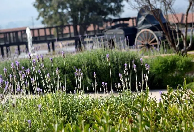 בית מלון כפרי Hacienda Los Picachos Spa & Pádel