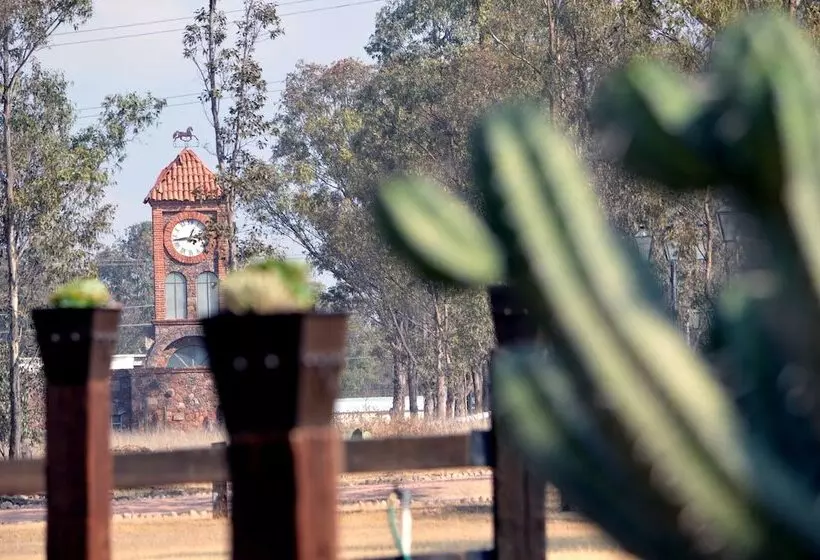 בית מלון כפרי Hacienda Los Picachos Spa & Pádel