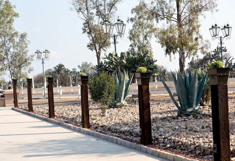 בית מלון כפרי Hacienda Los Picachos Spa & Pádel