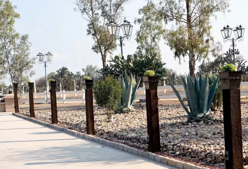 בית מלון כפרי Hacienda Los Picachos Spa & Pádel