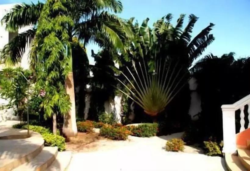 هتل Hôtel Casa Cornelia