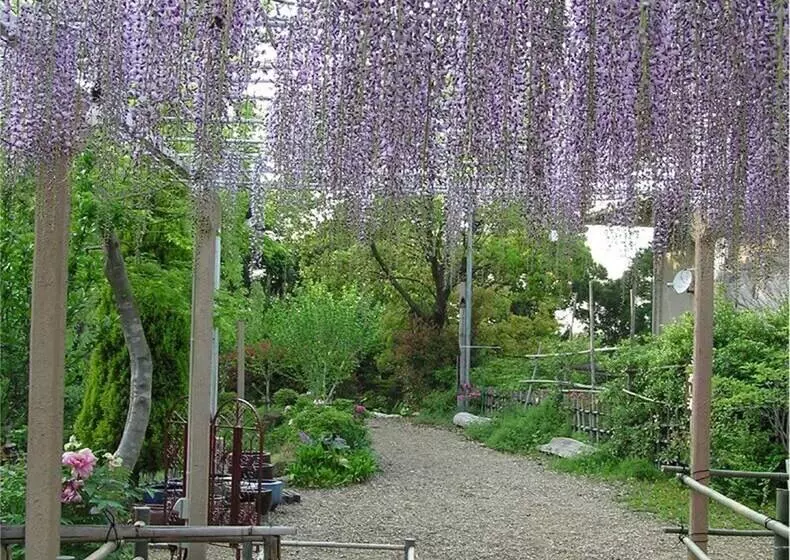 בית מלון כפרי Senpokaku