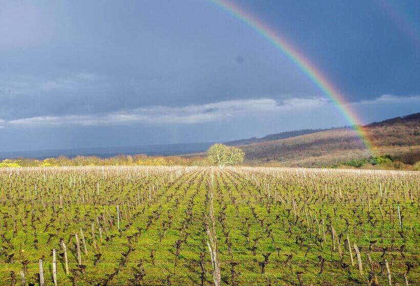 بنسيون Domaine Joseph Lafarge Wine Resort B&b