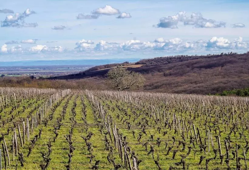 פנסיון Domaine Joseph Lafarge Wine Resort B&b