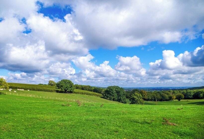 بنسيون Domaine Joseph Lafarge Wine Resort B&b