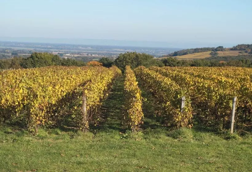 פנסיון Domaine Joseph Lafarge Wine Resort B&b