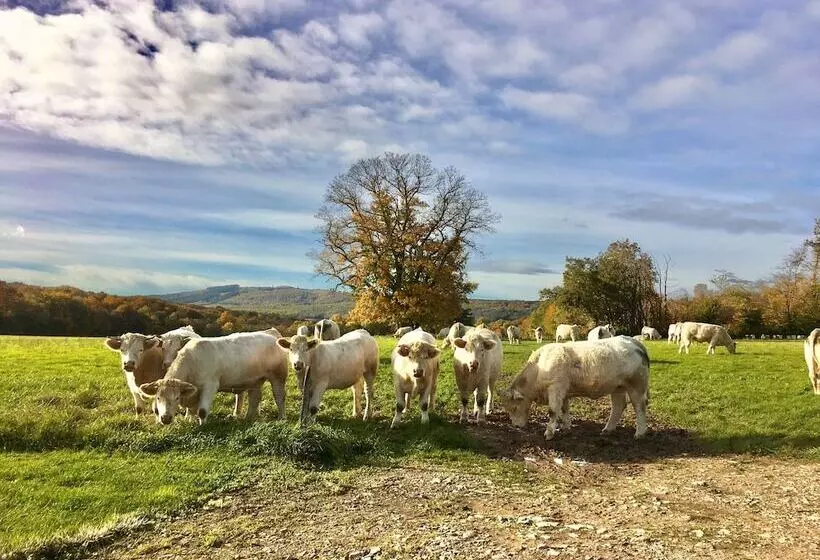 פנסיון Domaine Joseph Lafarge Wine Resort B&b