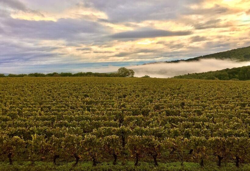 بنسيون Domaine Joseph Lafarge Wine Resort B&b