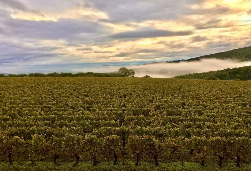 פנסיון Domaine Joseph Lafarge Wine Resort B&b