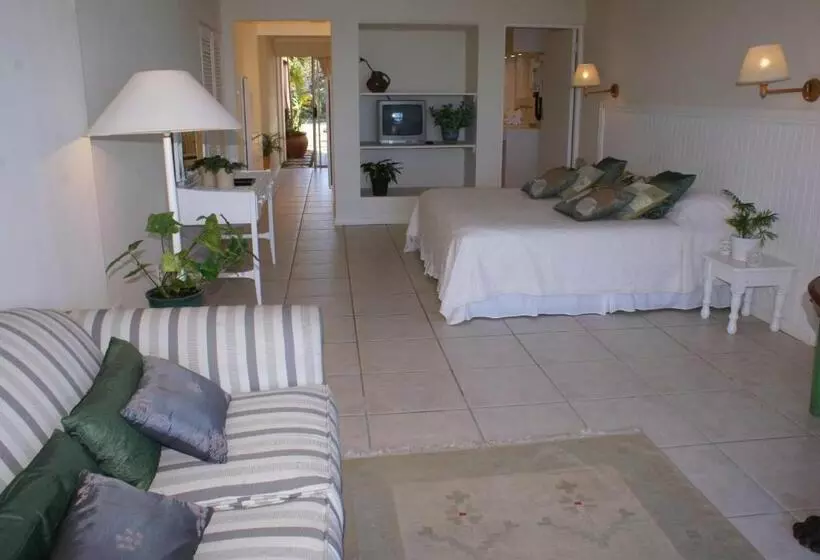 פנסיון The Pink Lodge On The Beach