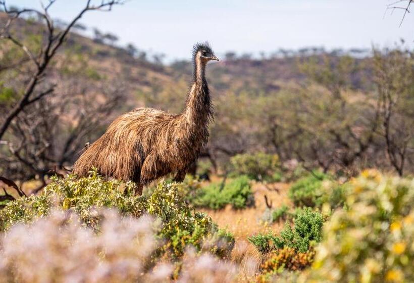 膳宿费 Wooleen Station