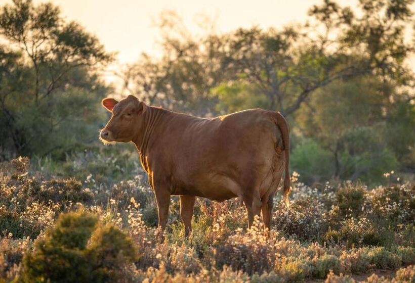 膳宿费 Wooleen Station