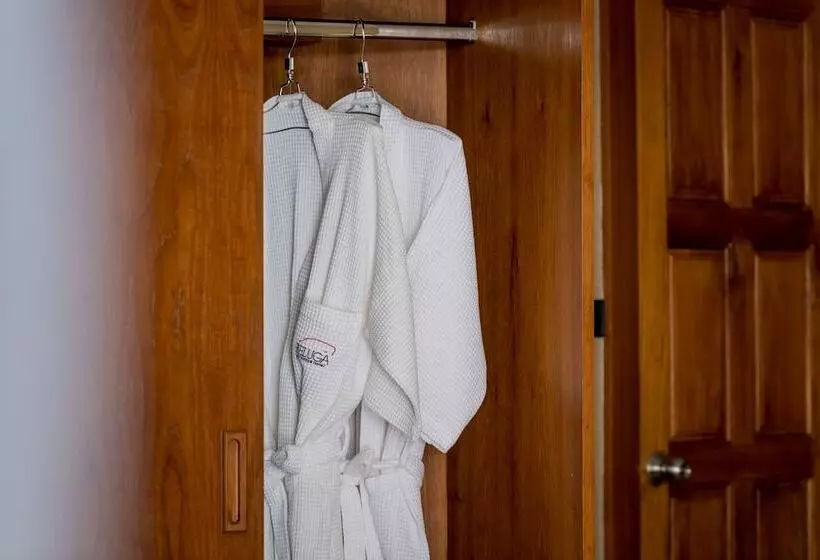 リゾートホテル Beluga Boutique