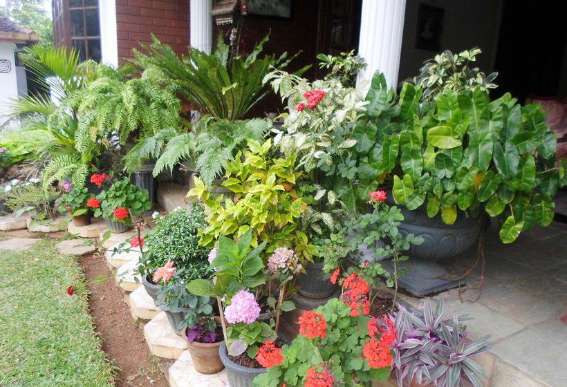 Bed and Breakfast Kandy Greenview Boutique