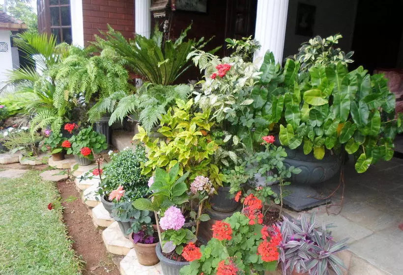 민박 Kandy Greenview Boutique