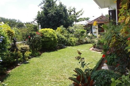 Bed and Breakfast Kandy Greenview Boutique