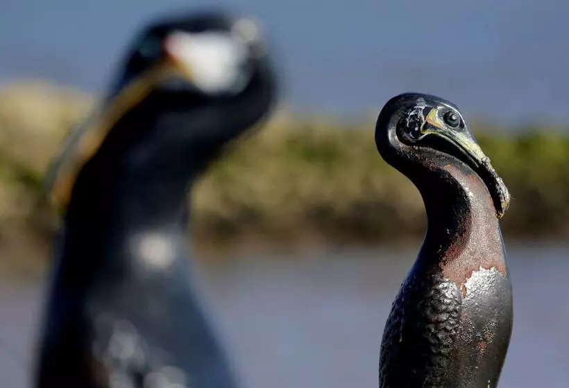 هتل Best Western Lancaster Morecambe Lothersdale