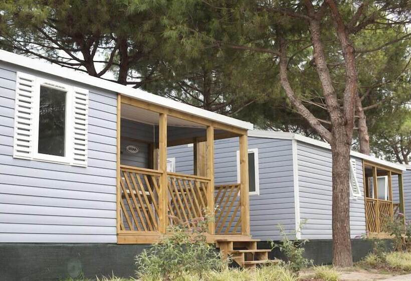 בית מלון כפרי Camping Waikiki