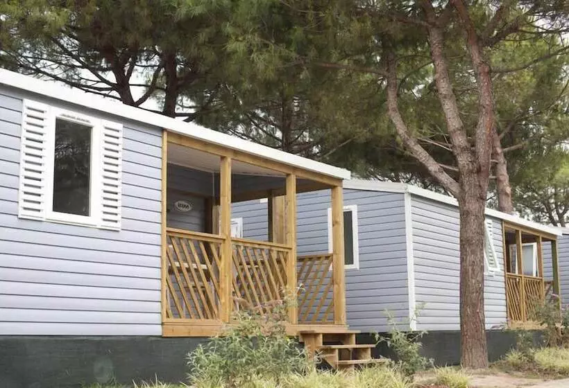 Отель Camping Waikiki