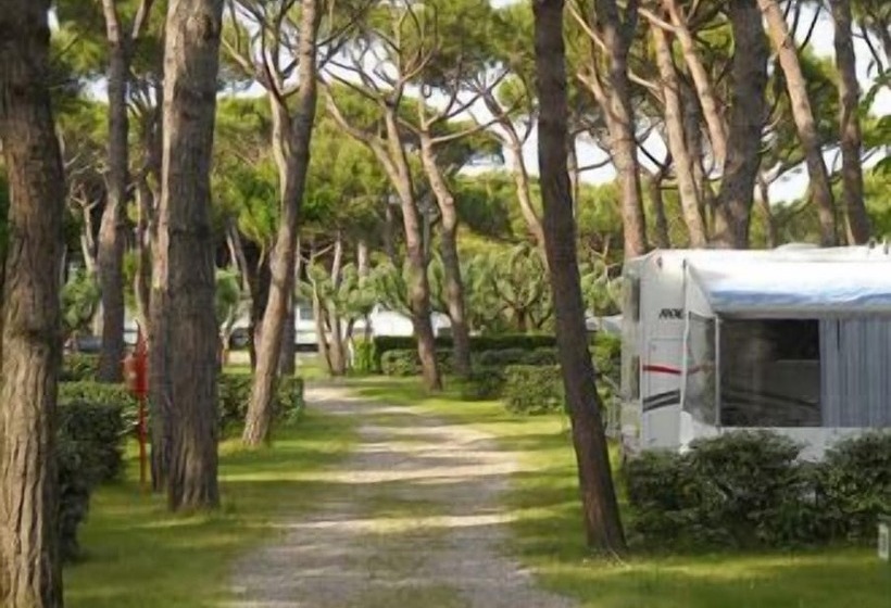 בית מלון כפרי Camping Waikiki