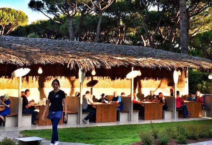 בית מלון כפרי Camping Waikiki