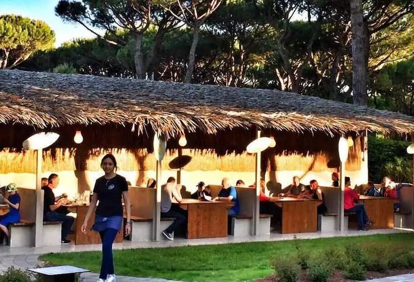 Отель Camping Waikiki