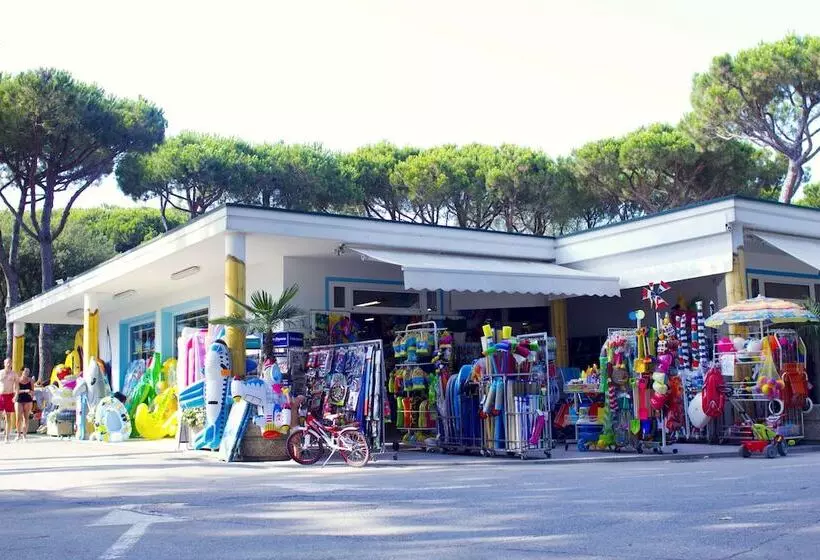 Отель Camping Waikiki