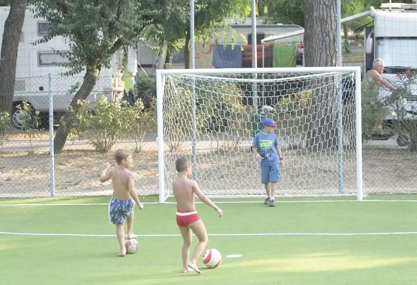 Отель Camping Waikiki