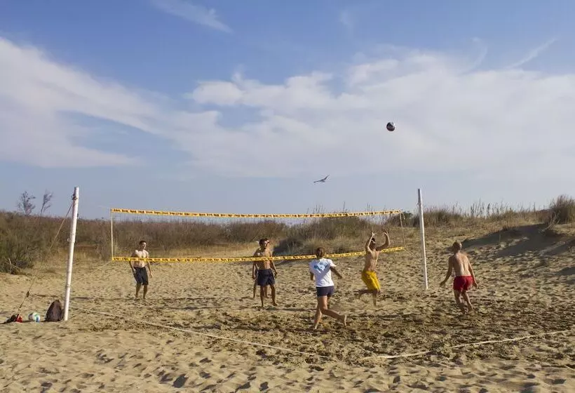 Отель Camping Waikiki