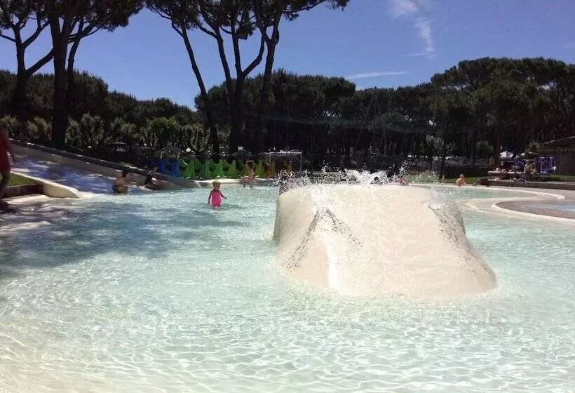 Отель Camping Waikiki