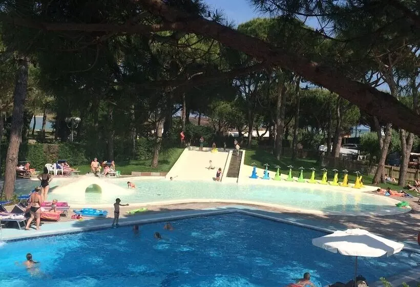 Отель Camping Waikiki