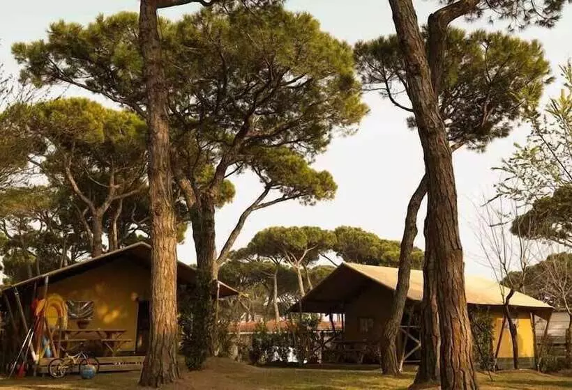 Отель Camping Waikiki