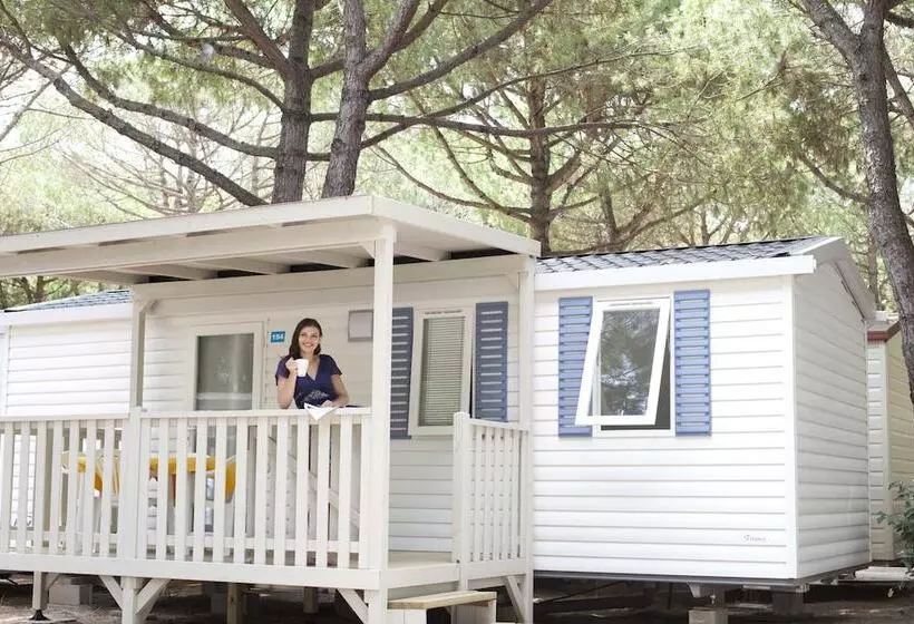 Отель Camping Waikiki