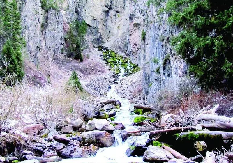 בית מלון כפרי Fairfield Inn By Marriott Afton Star Valley