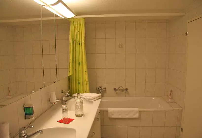 هتل Gasthof Löwen