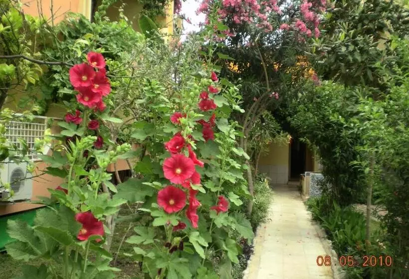 Hotel Marin   All Inclusive