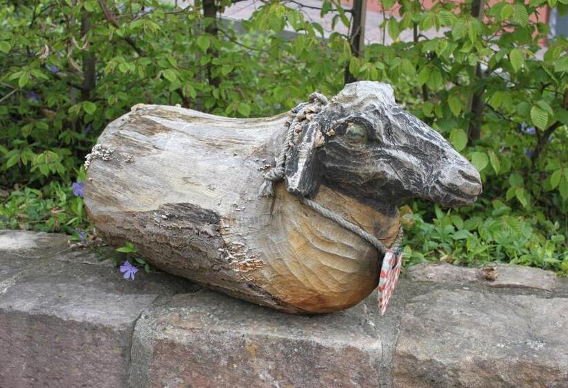 فندق Pension Zur Sonne 24/7